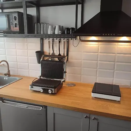 The Cosy Nest Apartment Techirghiol